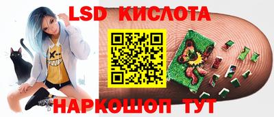 спиды Новозыбков