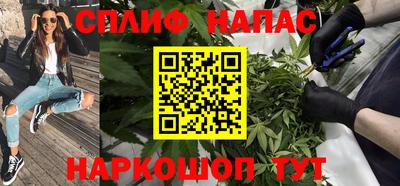 спиды Новозыбков