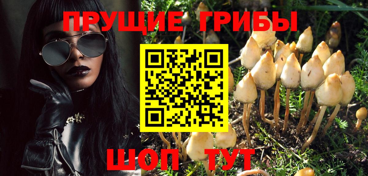 Псилоцибиновые грибы Psilocybine cubensis Скопин